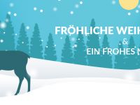 Weihnachtsbundle_08_DE.jpg